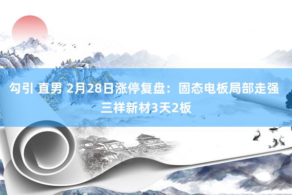 勾引 直男 2月28日涨停复盘：固态电板局部走强 三祥新材3天2板