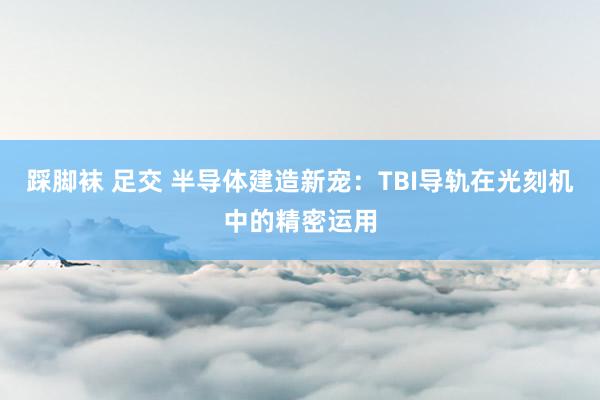踩脚袜 足交 半导体建造新宠：TBI导轨在光刻机中的精密运用