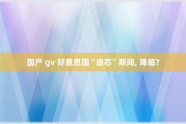 国产 gv 好意思国“造芯”期间， 降临?