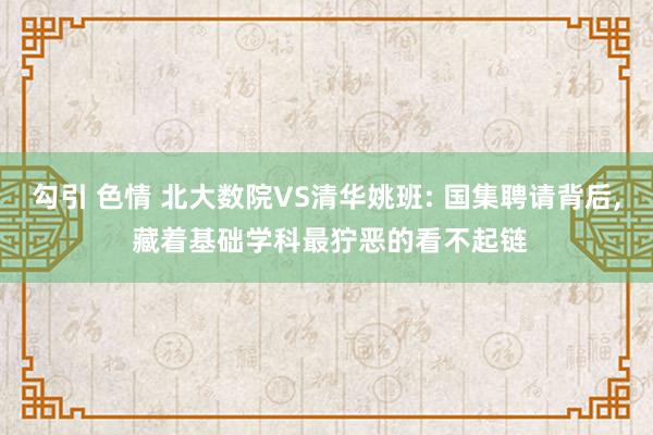 勾引 色情 北大数院VS清华姚班: 国集聘请背后， 藏着基础学科最狞恶的看不起链