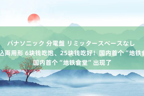パナソニック 分電盤 リミッタースペースなし 露出・半埋込両用形 6块钱吃饱、25块钱吃好！国内首个“地铁食堂”出现了